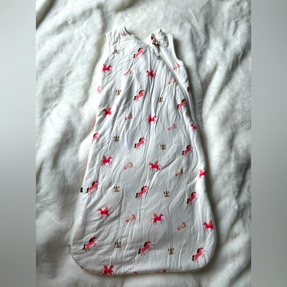 Kyte Baby Sleep Bag in 1.0 size Small